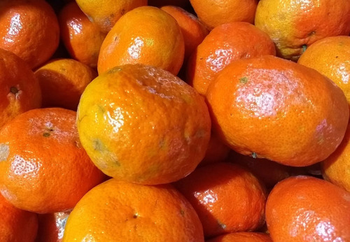 Mandarina Oferta!